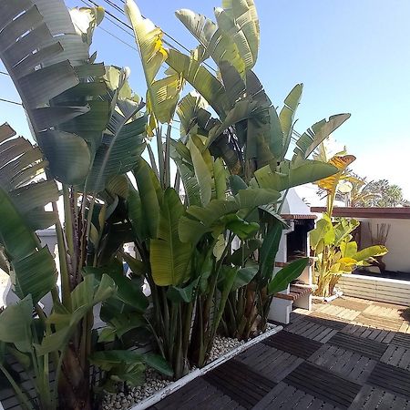 Villa Juncos Can Furnet Extérieur photo